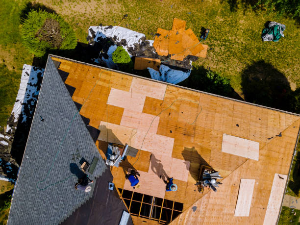 Best Roof Restoration Services  in Mayville, NY